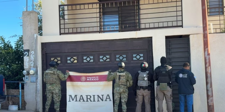 Secretaría de Marina informa arresto de ‘El Nido’ y ‘El Santa’, en Sonora