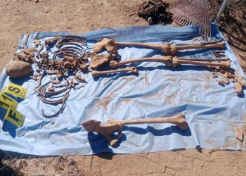 Colectivo localiza 16 fosas clandestinas en Sonora; Fiscalía investiga restos óseos