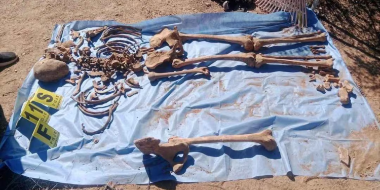 Colectivo localiza 16 fosas clandestinas en Sonora; Fiscalía investiga restos óseos