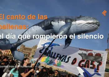 El canto de las ballenas: el día que rompieron el silencio