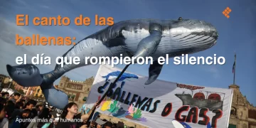 El canto de las ballenas: el día que rompieron el silencio