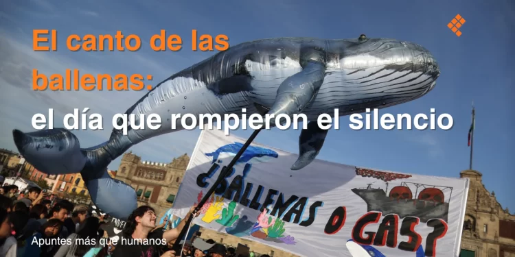 El canto de las ballenas: el día que rompieron el silencio