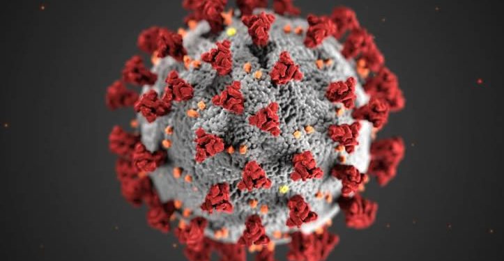 Nueva variante “Cigarra” de COVID-19 genera alerta: esto se sabe de sus síntomas y mutaciones