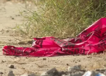 En Sonora, aseguran cocaína y goma de opio en autobús con destino a Estados Unidos; detienen a dos