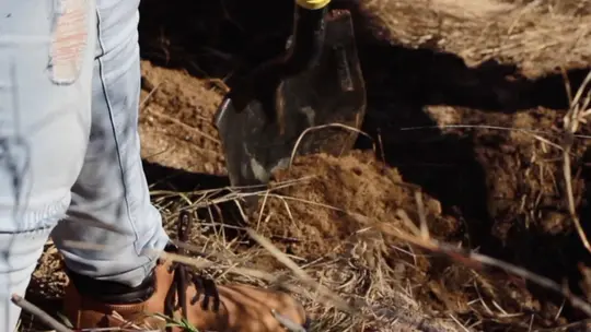 Identifican Restos de Menor Desaparecido Hace 3 Años en Bácum