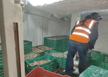 Marina en coordinación con CONAPESCA y PROFEPA Realiza Patrullaje de Vigilancia Marítima en Materia de Pesca, en Sonora