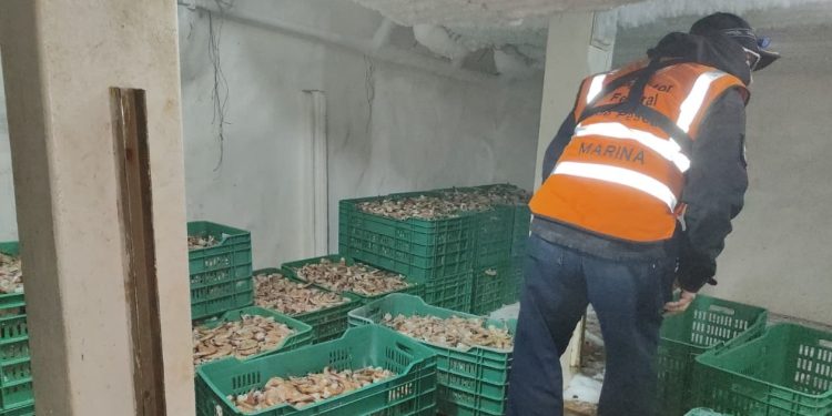 Marina en coordinación con CONAPESCA y PROFEPA Realiza Patrullaje de Vigilancia Marítima en Materia de Pesca, en Sonora