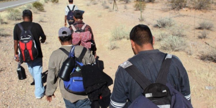 Rescatan a migrantes que fueron abandonados por traficantes en el desierto de Arizona