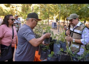 Promueve Municipio forestación de Hermosillo al donar mil árboles nativos por el Día del Árbol y Arbolado Urbano