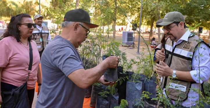 Promueve Municipio forestación de Hermosillo al donar mil árboles nativos por el Día del Árbol y Arbolado Urbano