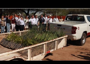 Gobierno de Sonora arranca Programa Estatal de Reforestación “Por un Sonora Sustentable”