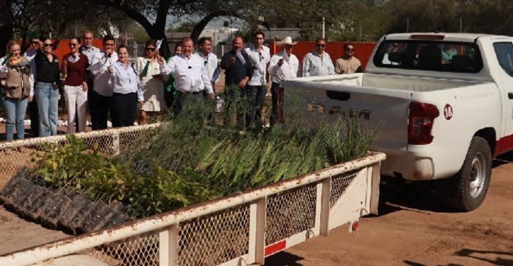 Gobierno de Sonora arranca Programa Estatal de Reforestación “Por un Sonora Sustentable”