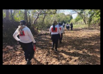 Desde 2010 han asesinado a 35 madres buscadoras, 25 de ellas en gobiernos de la 4T