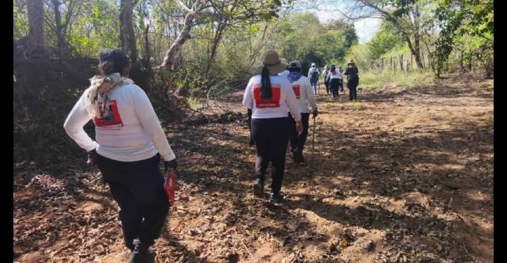 Desde 2010 han asesinado a 35 madres buscadoras, 25 de ellas en gobiernos de la 4T