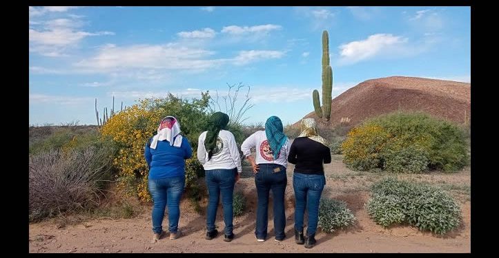 Hallan restos óseos en panteón clandestino de Plutarco Elías Calles