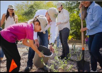 Hermosillo se consolida como referente ambiental: recibe por segundo año el distintivo ‘Tree Cities of the World’