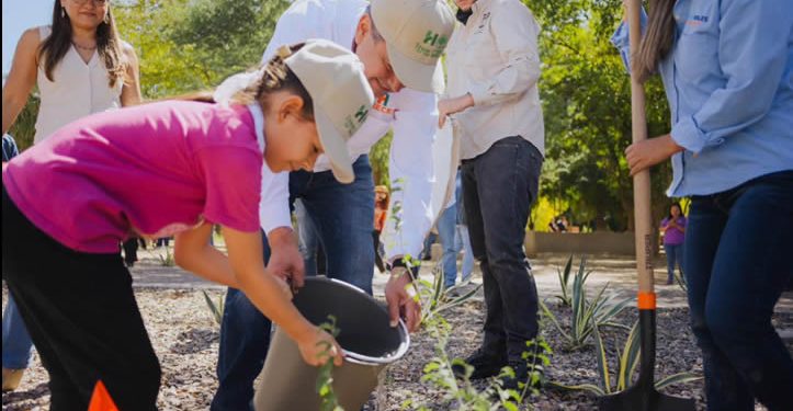 Hermosillo se consolida como referente ambiental: recibe por segundo año el distintivo ‘Tree Cities of the World’