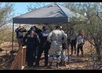 Integrantes de colectivo encuentra osamentas de ocho personas en el Valle de Guaymas-Empalme