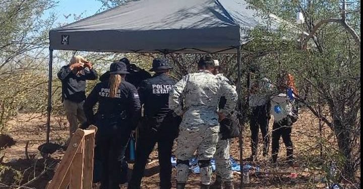 Integrantes de colectivo encuentra osamentas de ocho personas en el Valle de Guaymas-Empalme
