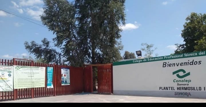 Por presencia de “mosquitos” suspenden clases en el CONALEP Hermosillo II Las Quintas