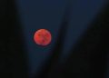 Eclipse que dará lugar a la “luna roja” será visible este martes