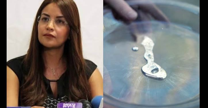 Alejandra Pulido, la panista que ayudaba al CJNG a traficar mercurio