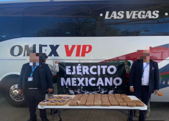 En Sonora, aseguran cocaína y goma de opio en autobús con destino a Estados Unidos; detienen a dos