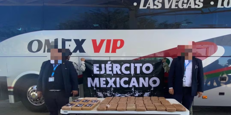 En Sonora, aseguran cocaína y goma de opio en autobús con destino a Estados Unidos; detienen a dos