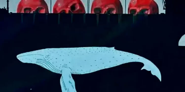 Congreso de BCS pide frenar proyecto energético Sahuaro por riesgo al Golfo de California