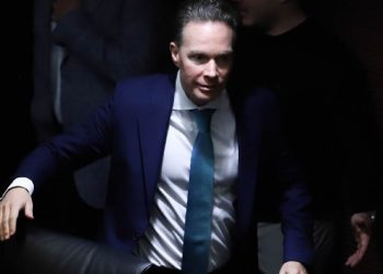 Partido Verde destapa a 11 precandidatos a gubernaturas; en SLP puede competir sin coalición con Morena