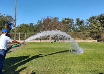 El costo del déficit verde: Culiacán y Sonora