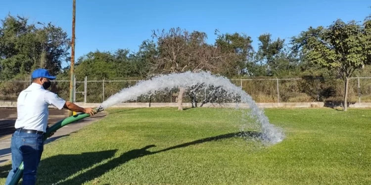 El costo del déficit verde: Culiacán y Sonora
