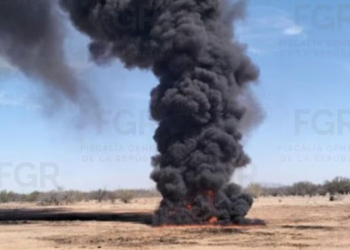 FGR incinera más de 832 kilos de narcóticos en Sonora