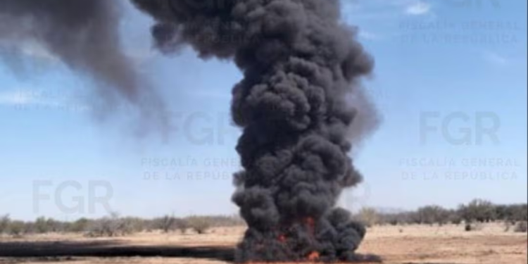 FGR incinera más de 832 kilos de narcóticos en Sonora