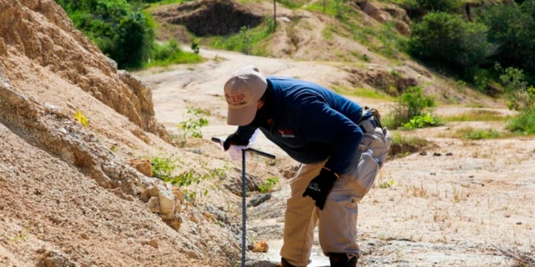 Sonora puntea en aumento de desapariciones y Veracruz, en fosas clandestinas