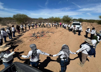 Hallan 22 osamentas en ejido Felipe Ángeles, Sonora; colectivos descubren nuevas fosas en Guaymas