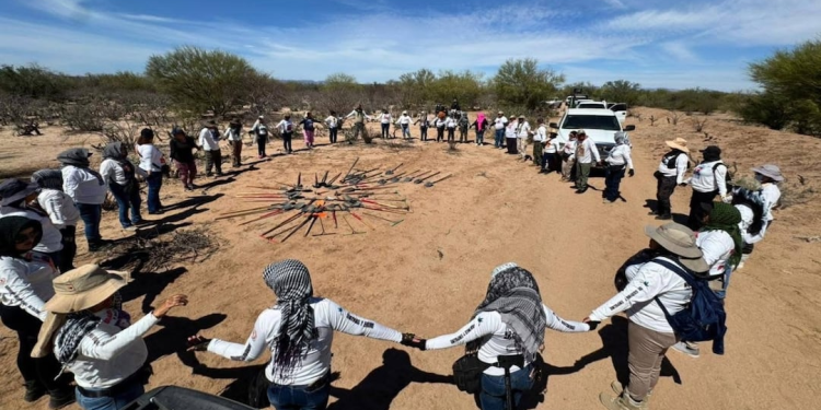 Hallan 22 osamentas en ejido Felipe Ángeles, Sonora; colectivos descubren nuevas fosas en Guaymas
