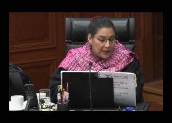 Critican a Lenia Batres por votar en contra de que el IMSS otorgue prótesis a menores con discapacidad