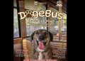Invita Gobierno de Hermosillo a un paseo diferente en el “DogeBus”