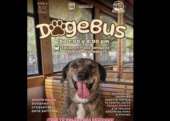 Invita Gobierno de Hermosillo a un paseo diferente en el “DogeBus”