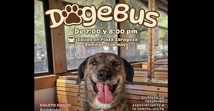 Invita Gobierno de Hermosillo a un paseo diferente en el “DogeBus”