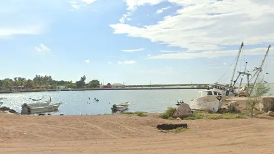 Emiten Alerta por Avistamiento de Tiburón en Costas del Puerto de Yavaros en Huatabampo