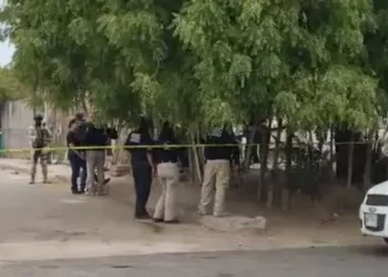 Rescatan a Zarigüeya en Negocio de Agua Purificada en Nogales