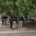 Rescatan a Zarigüeya en Negocio de Agua Purificada en Nogales