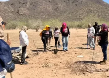 Localizan Osamenta en Fosa Clandestina en Carretera 26 de Hermosillo