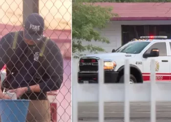 Niña es Mordida por Una Serpiente en Escuela Primaria de Hermosillo