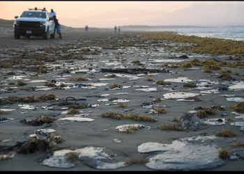 Pemex: Fuga en ducto provocó derrame de hidrocarburo en el Golfo de México