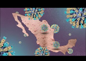 Sarampión, la advertencia de salud que no puedes ignorar: 15 mil casos activos hasta hoy