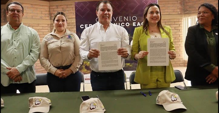 Sonora y la empresa Agnico Eagle México unen esfuerzos para la conservación del Águila Calva