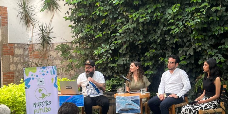 Ambientalistas piden frenar proyecto Saguaro en Sonora por riesgo ambiental